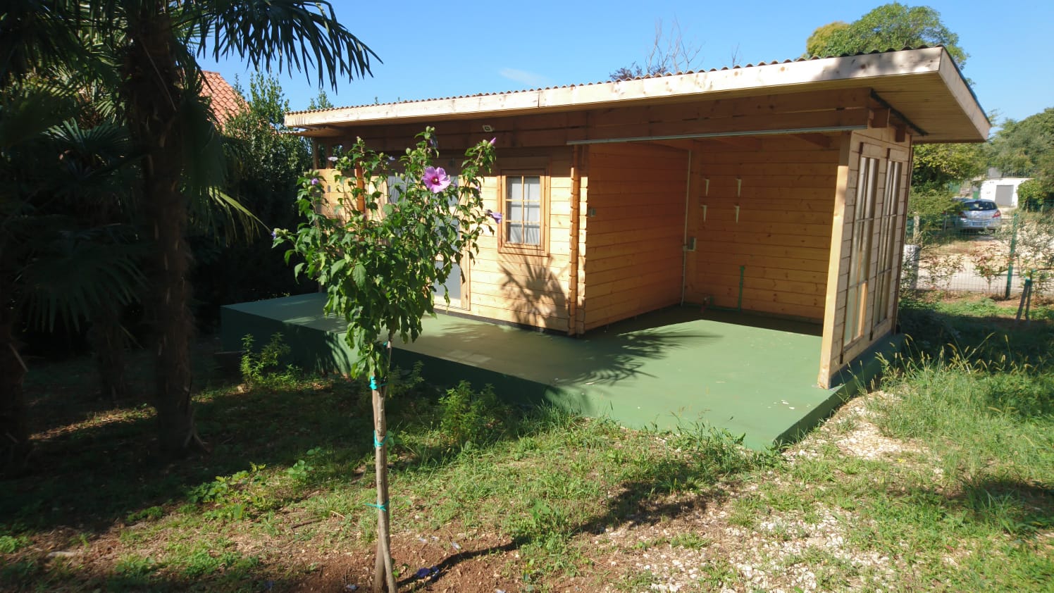 Small wooden house in Croatia, with a porch and a young tree in flower
